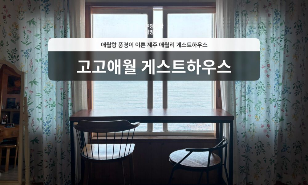 blog cover image: 고고애월 게스트하우스