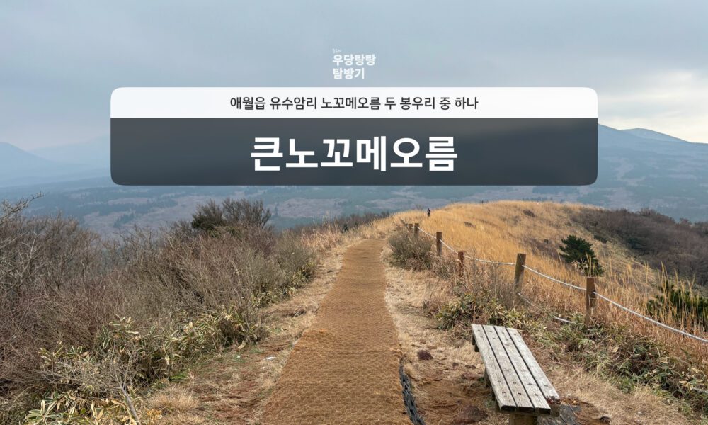 blog cover image: 큰노꼬메오름